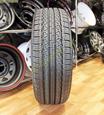 225/55R19 (TR259) а/шина Triangle лето 99V